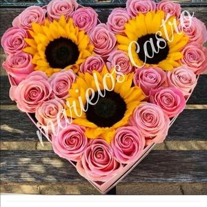 Meet your Posher, Carolina